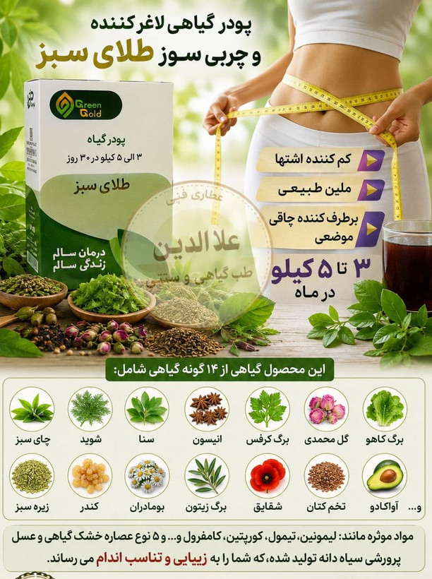 پودر گیاه چربی سوز و لاغر کننده طلای سبز